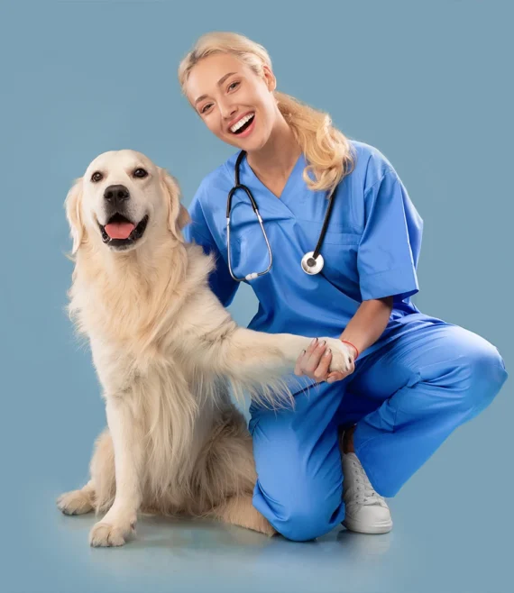 Esperto-assistente-veterinario-master